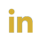 LinkedIn icon
