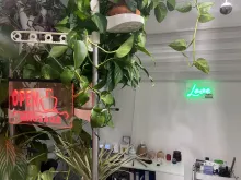 Flowers and illuminated wall art in the studio